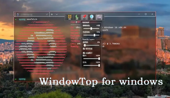 WindowTop vv3.3.10 & vv5.1.9