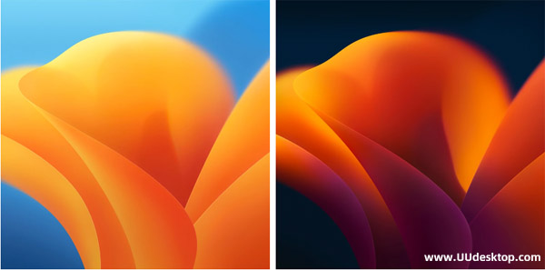 MacOS 13 Ventura Wallpapers(5K Resolution, 6016x6016)