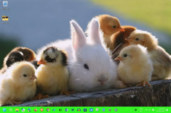 Chicks and Bunnies for windows 11 Easter Theme